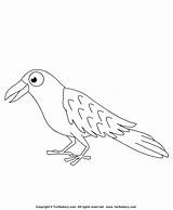 Raven Coloring Crafts Birds sketch template