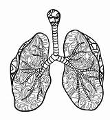 Lung Zentangle sketch template