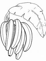Coloring Banana Pages Fruits Bananas Printable Recommended Color sketch template