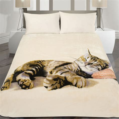 Blanket For Cat Hair Cat Meme Stock Pictures And Photos