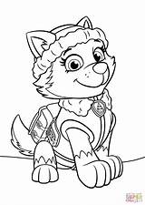 Coloring Paw Patrol Everest Pages Drawing Supercoloring Printable sketch template
