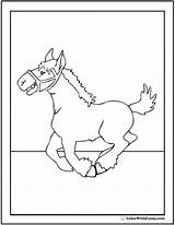 Clydesdale Coloring Horse Pages Getcolorings Print Printable Cute sketch template
