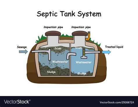 septic tank diagram royalty  vector image vectorstock