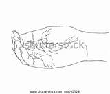 Cupped Hand Hands Two Together Shutterstock Vector Template Lightbox sketch template