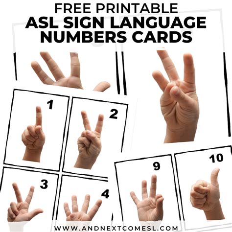 printable asl numbers printable word searches