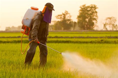 man spraying herbicides  pesticides daily news blog