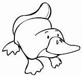 Coloring Platypus Perry Sheets Cute Pages Children Cartoon Realistic sketch template