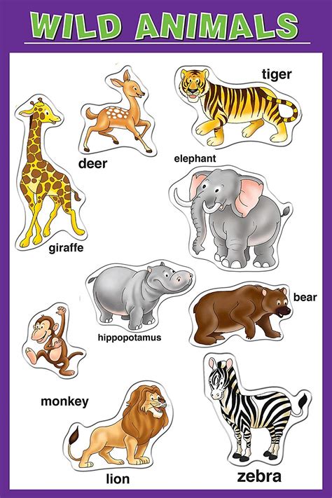 yellow matte finish wild animal  kids learning poster paper multicolour