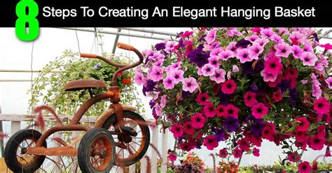 steps  creating  elegant hanging basket