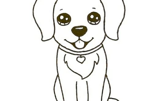 puppy drawing art drawing skill