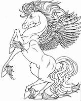 Pegasus Coloring Unicorn Pages Drawing Getdrawings sketch template