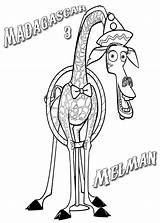 Madagascar Melman Jirafa Imprimir Fugitivos Dibujosparacolorear sketch template