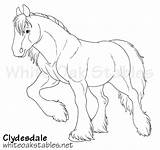 Shire Clydesdale sketch template