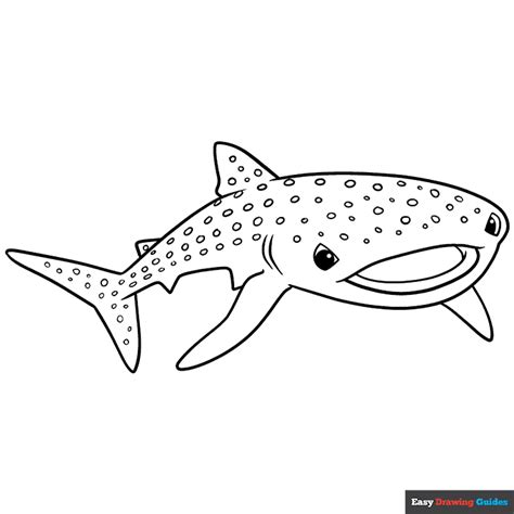 whale shark coloring page easy drawing guides