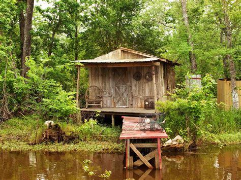 swamp  bayou  attractionticketscom
