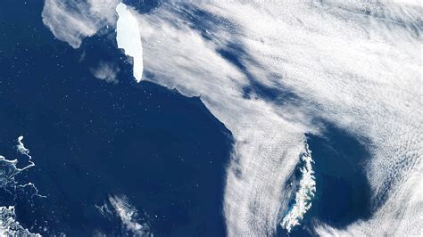 world s largest iceberg on a collision course that could