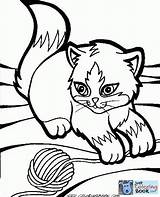 Coloring Cat Pages Yarn Kitten sketch template