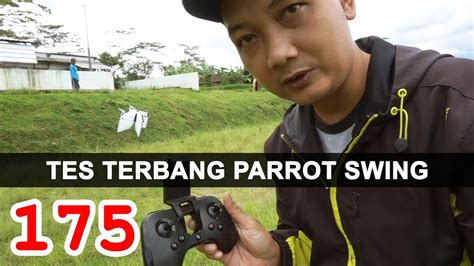 tes terbang parrot swing review  youtube