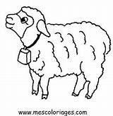 Animales Oveja Colorat Faciles Domesticos Oi Ovejas Planse Desene Oaie Owieczki Domésticos Moutons Animale Miel P23 Ovelha Mouton Kolorowanki Desenhos sketch template