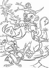 Zazu Simba Timon Pumbaa Coloringpagesfortoddlers sketch template
