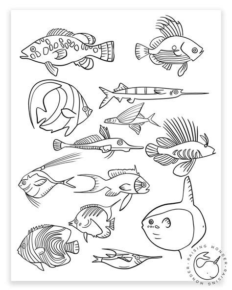 single coloring page tropical fish sarah jane studios
