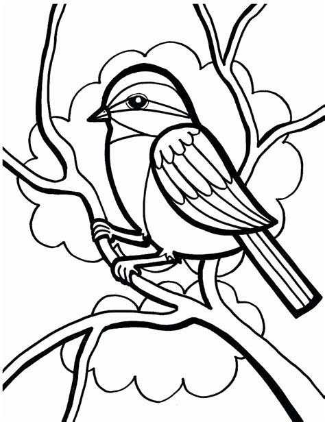 mockingbird coloring page beautiful  printable coloring pages birds