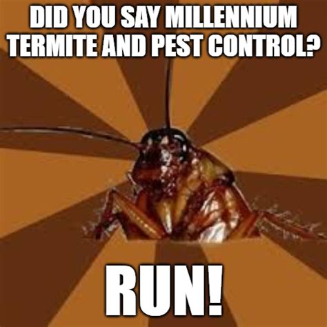 no termite can withstand the strikeforce of millennium termite and pest