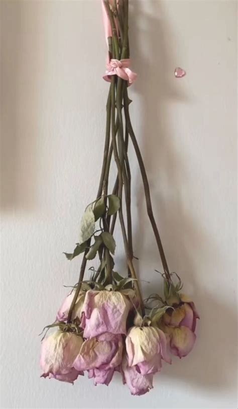 dried flowers hanging   wall