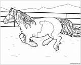 Stallion Pages Horse Coloring Color Kids sketch template