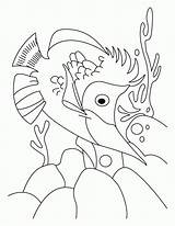 Coloring Fish Two Seuss Dr Pages Clipart Template Jalpari Library Line Popular sketch template