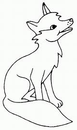 Fuchs Zum Malvorlage Howling Raposa Nimbus Bulkcolor Tod Coyotes Casaco Chuva Pele Colornimbus sketch template