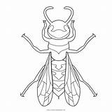 Wasp Colorare sketch template