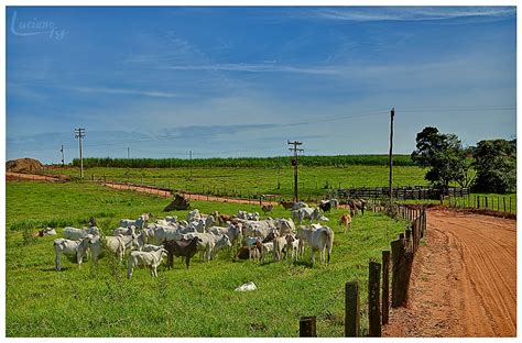 farm road hdrcreme