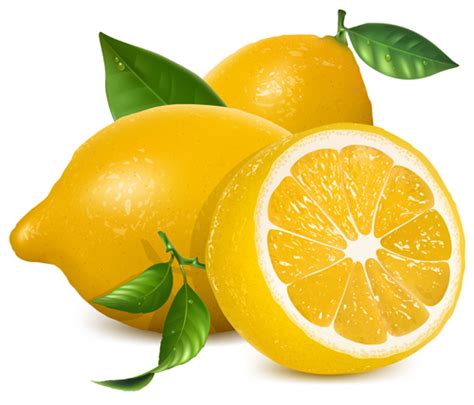 fresh lemon creative design vector  welovesolo