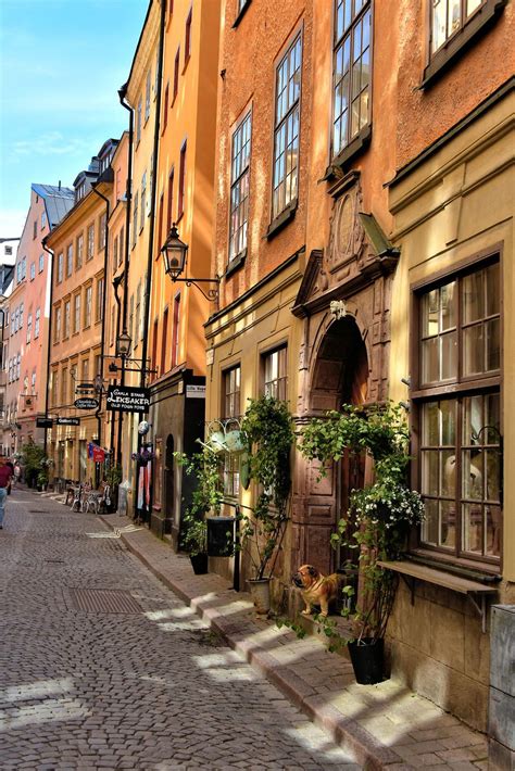 guidad tur  gamla stan med stockholmsguide reseskaparna