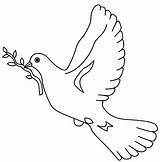 Dove Coloring Pages Peace Choose Rocks Adult sketch template