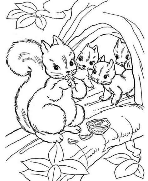 coloring pages squirrel  babies coloring pages