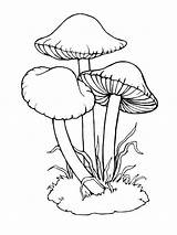 Coloring Mushrooms Pages Printable Mushroom Print Cute Drawing sketch template