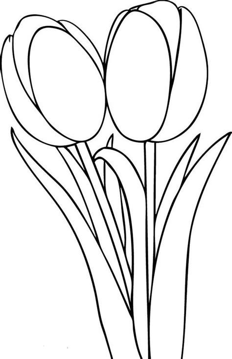 beautiful pair  standard tulips coloring page kids play color