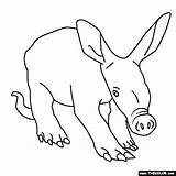 Coloring Aardvark Online Pages Animal Baby Animals Visit Thecolor sketch template