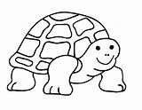 Coloring Turtle Pages Tortoise Drawing Cute Sea Outline Galapagos Turbine Wind Printable Para Cliparts Colorear Gopher Totodile Getcolorings Cartoon Kids sketch template
