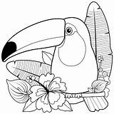 Toucan Vector Exotic Plants Bird Flowers Coloring sketch template