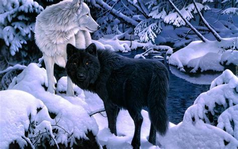 black wolf     velg blant mange lignende scener anniversary dota  indonesia