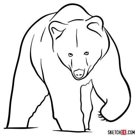 draw  grizzly bear front view bear drawing outline