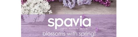 spavia day spa strongsville  alignable