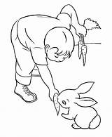 Coloring Pages Feeding Rabbit Carrot Pet Pets Bunny Outline Printable Carrots Animal Kids Animals Honkingdonkey Boy Drawing Activity Gif Popular sketch template