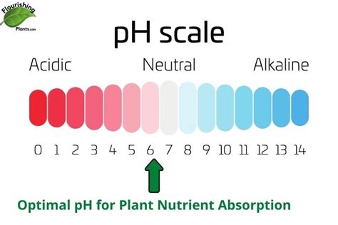 change soil ph     monitor explained flourishing