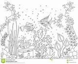 Fondale Paesaggi Pesce Tropicali Seabed sketch template