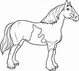 Caballo Cavalos Gratuitamente Caballos Niñas Links sketch template