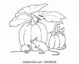Mice Shutterstock Drawing sketch template